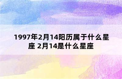 1997年2月14阳历属于什么星座 2月14是什么星座